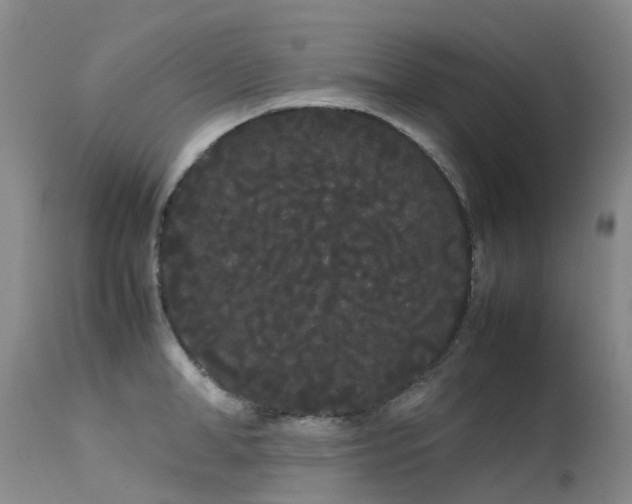 X0000113620998200909251202