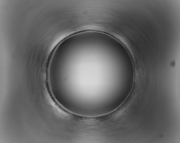 X0000113620999200909251202