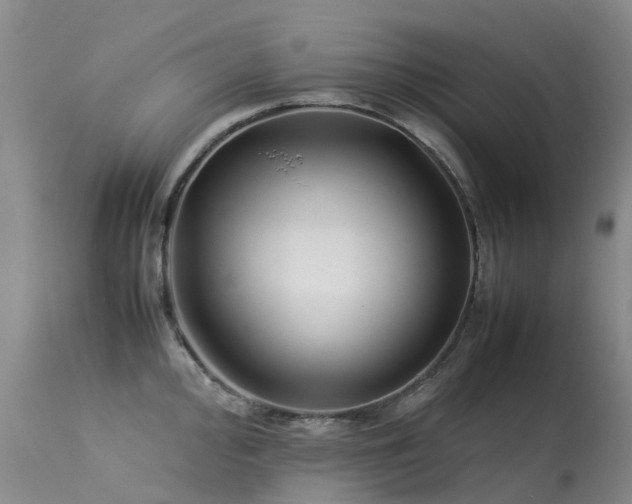 X0000113621000200909251202