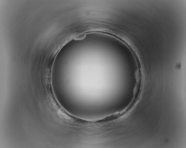 X0000113621001200909251202