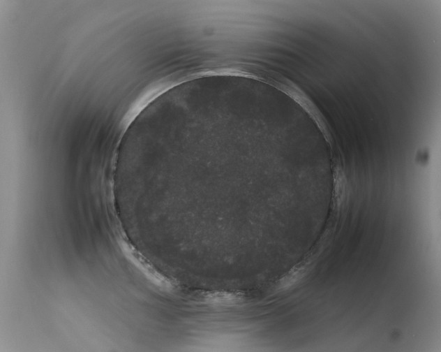 X0000113621002200909251202