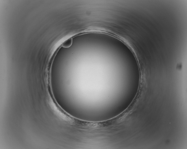 X0000113621003200909251202