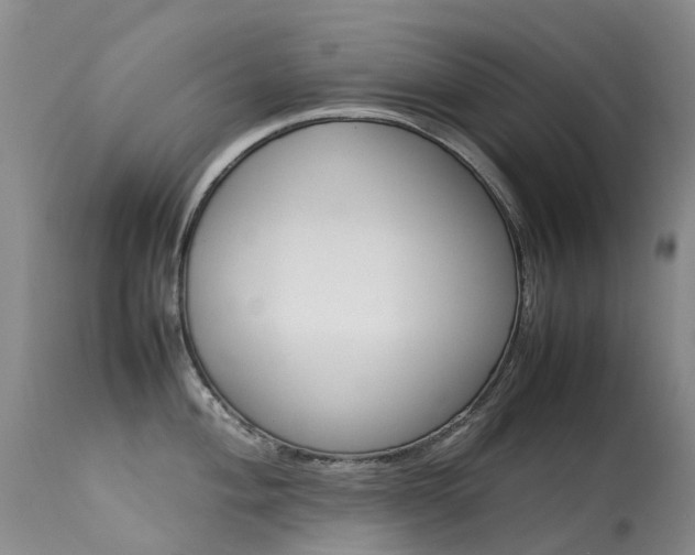 X0000113621004200909251202