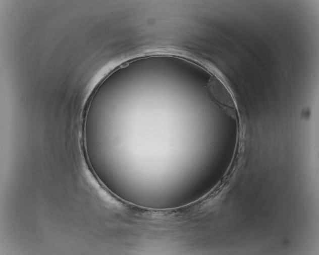 X0000113621005200909251202