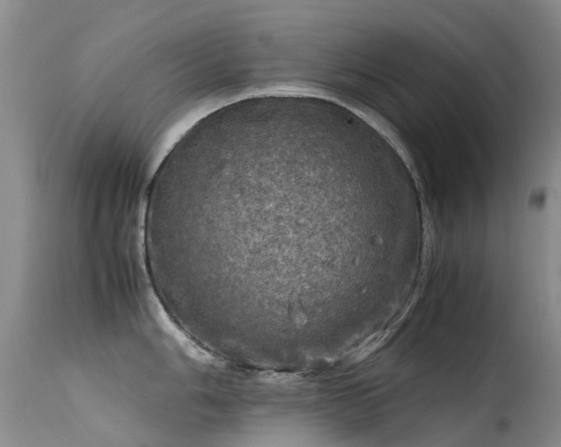 X0000113621006200909251202