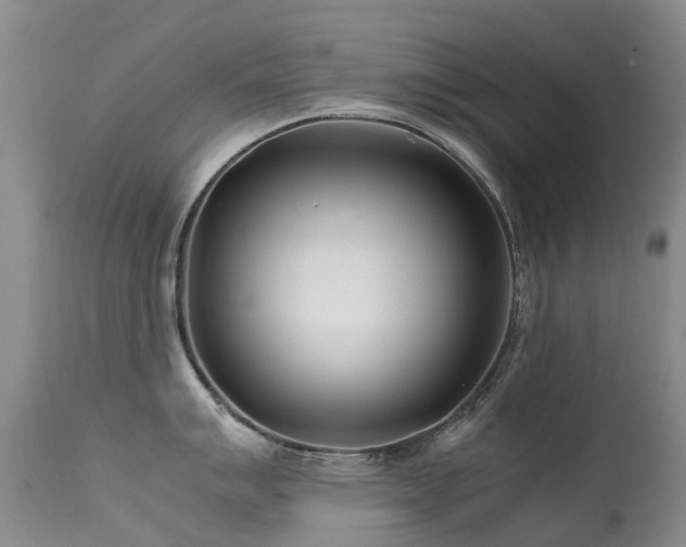 X0000113621007200909251202