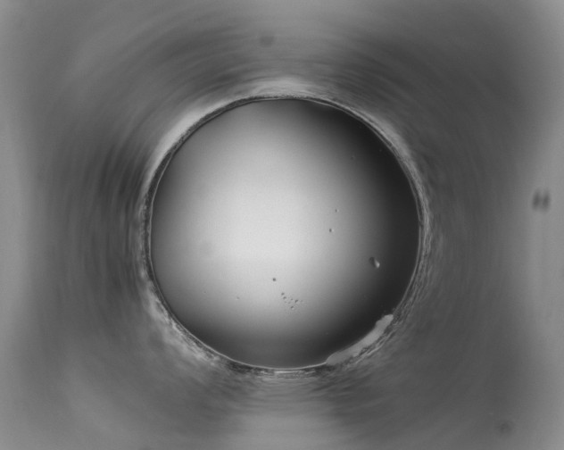 X0000113621008200909251202