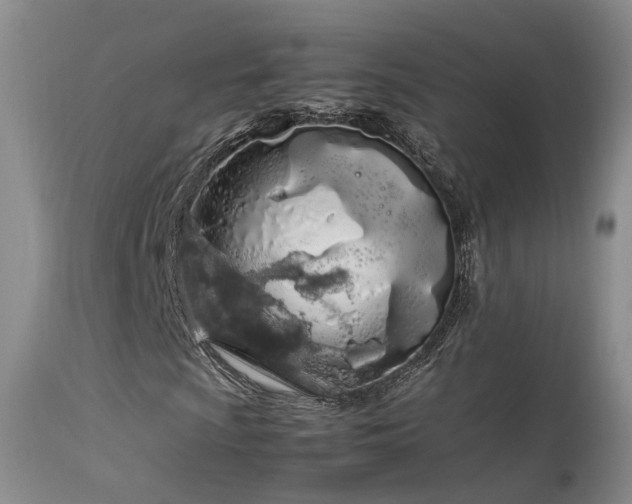 X0000113621009200909251201