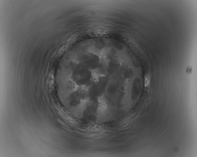 X0000113621011200909251201