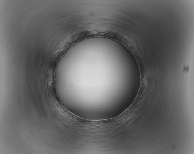 X0000113621012200909251201