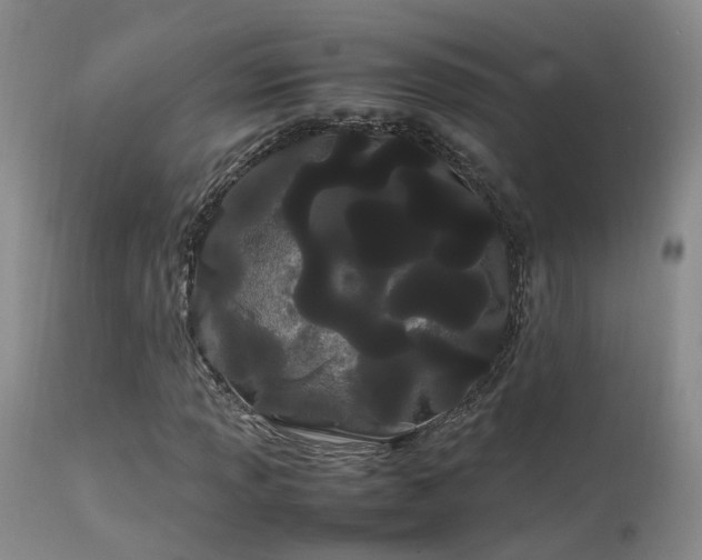 X0000113621013200909251201