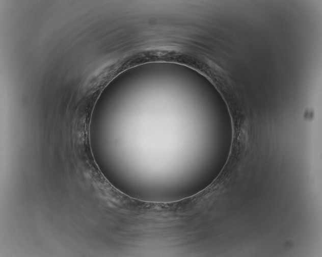 X0000113621014200909251201