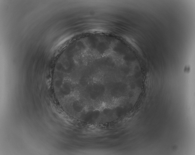 X0000113621015200909251201