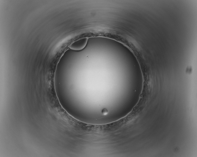 X0000113621016200909251201