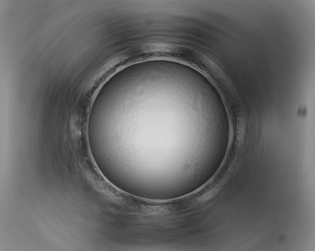 X0000113621017200909251201