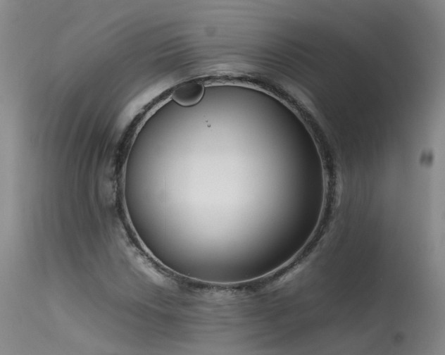 X0000113621018200909251201