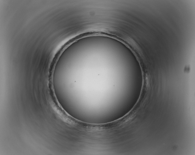 X0000113621020200909251201