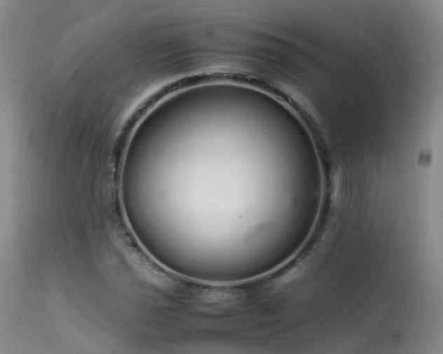 X0000113621021200909251201