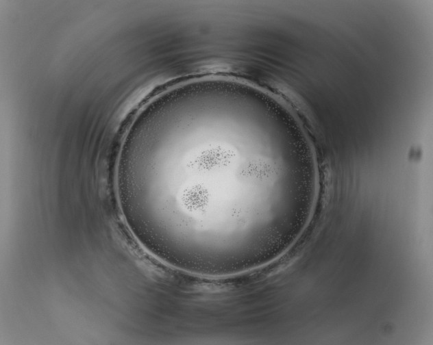 X0000113621023200909251201