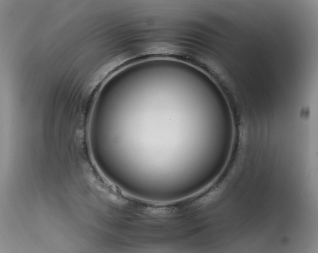 X0000113621025200909251201