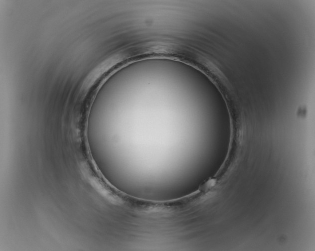 X0000113621026200909251202