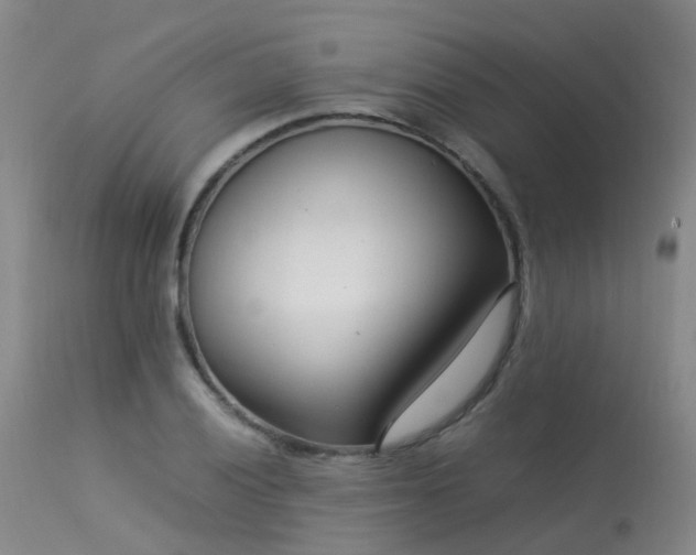 X0000113621028200909251202