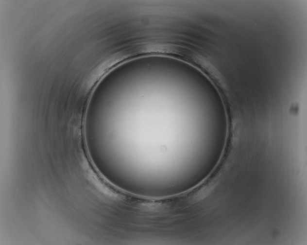 X0000113621033200909251202