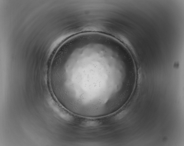 X0000113621035200909251202