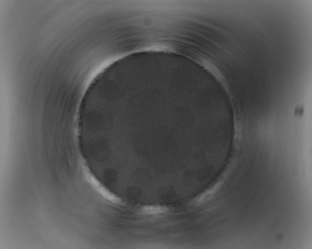 X0000113621037200909251202