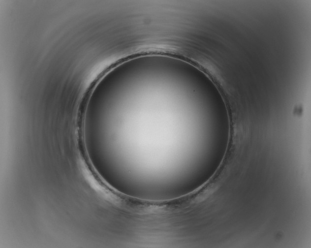 X0000113621038200909251202