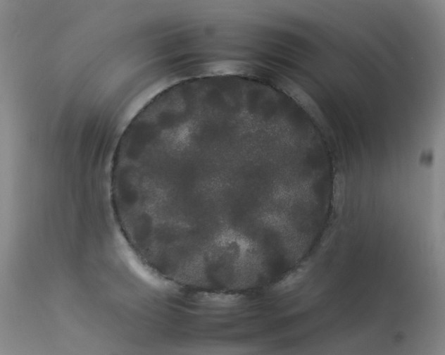 X0000113621039200909251202