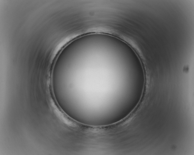 X0000113621040200909251202