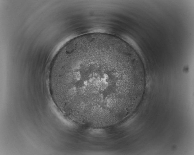 X0000113621043200909251202