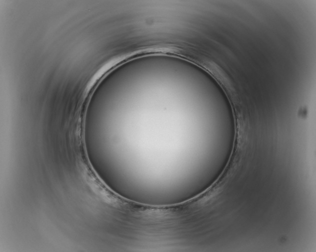 X0000113621044200909251202