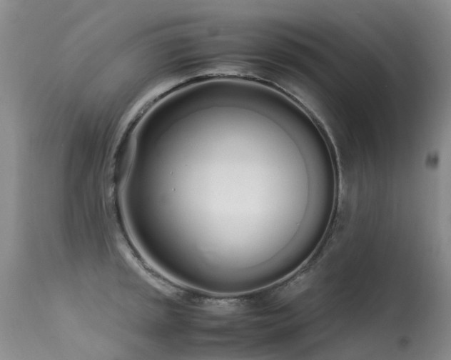 X0000113621045200909251202