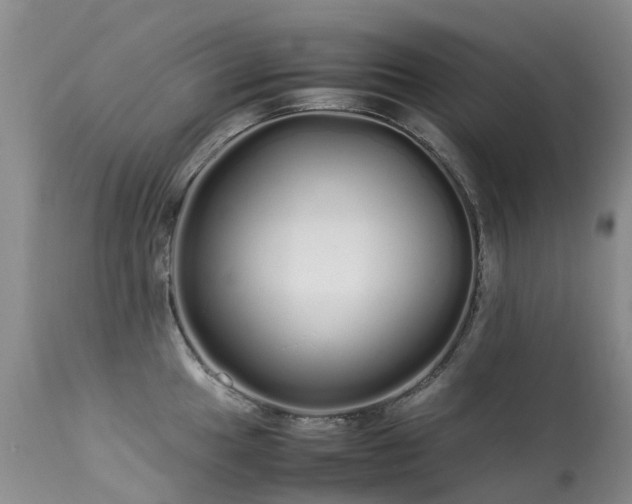 X0000113621049200909251202