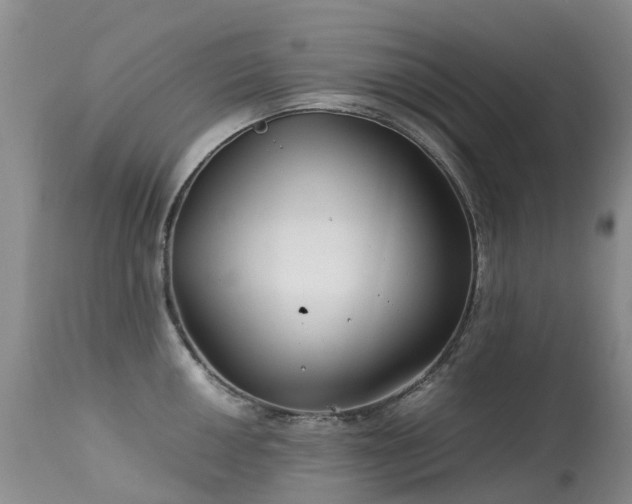 X0000113621050200909251202