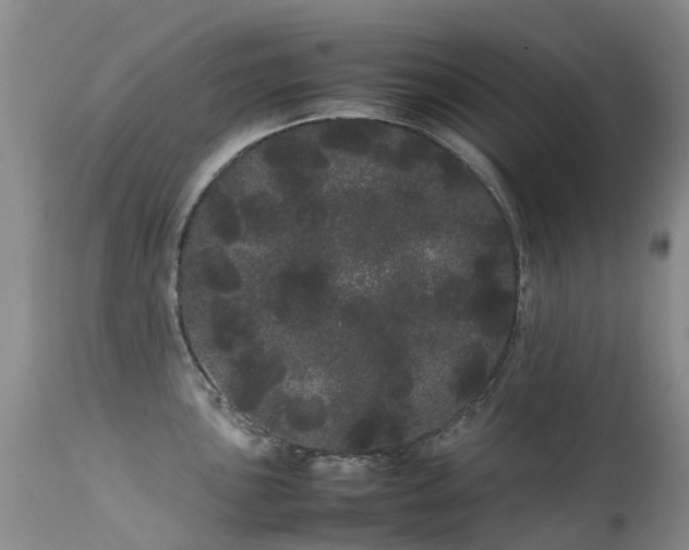 X0000113621051200909251202