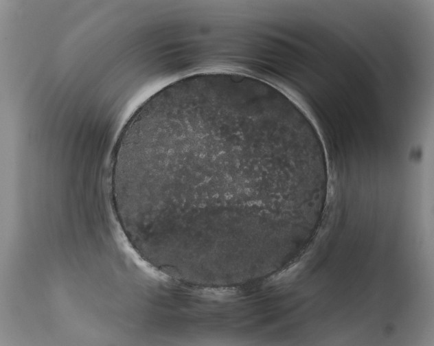 X0000113621053200909251202