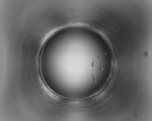 X0000113621054200909251202