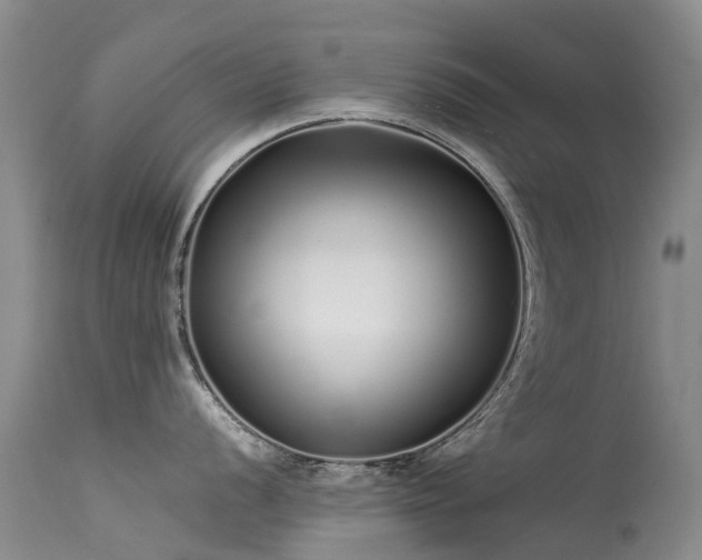 X0000113621056200909251202