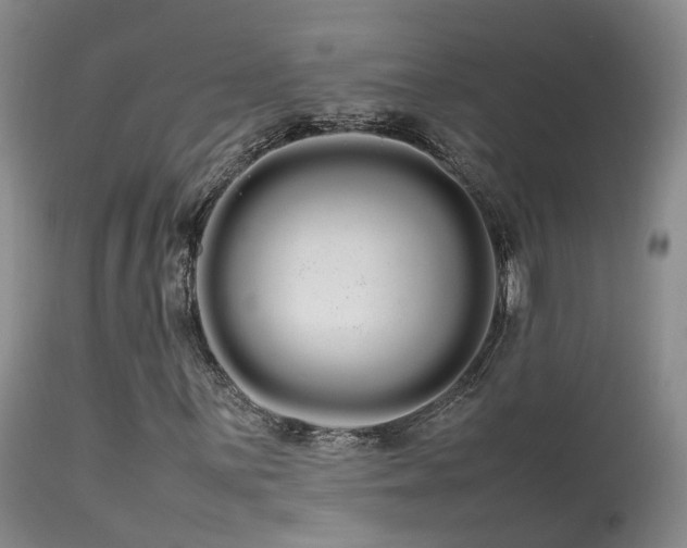 X0000113621059200909251201