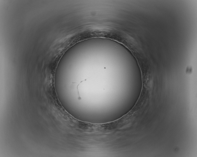 X0000113621061200909251201