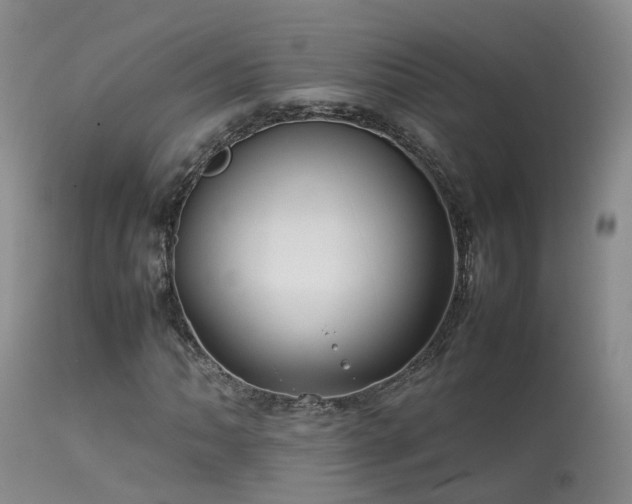 X0000113621062200909251201