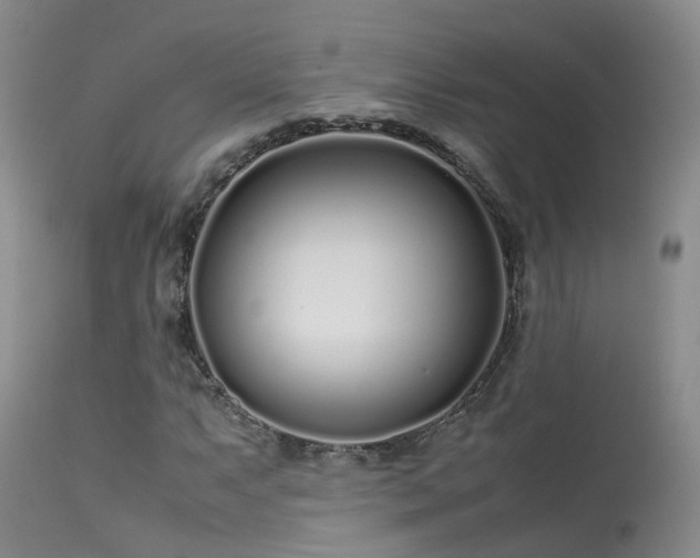 X0000113621063200909251201