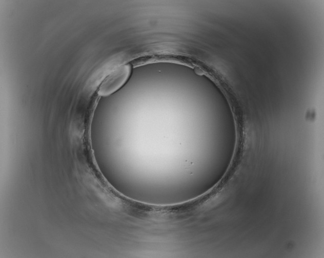 X0000113621065200909251201