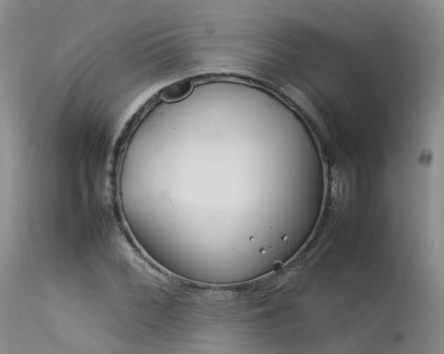 X0000113621068200909251201