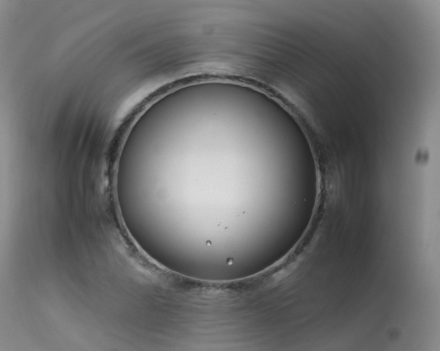 X0000113621070200909251201