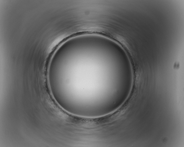 X0000113621071200909251201