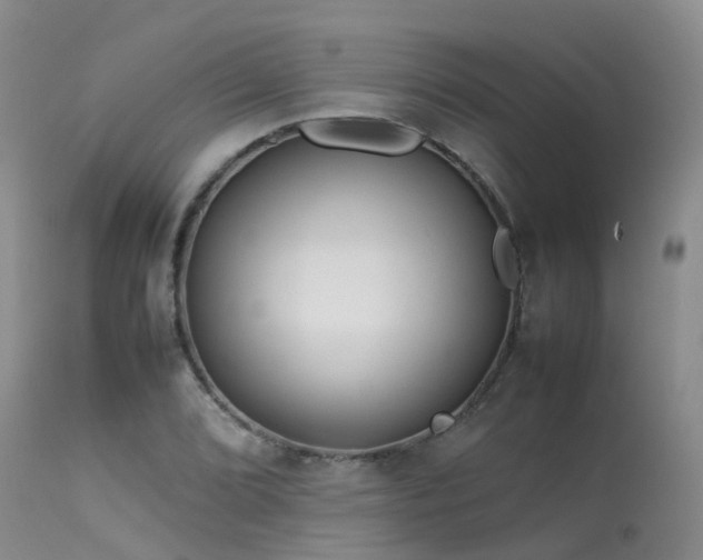 X0000113621072200909251201